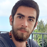 UMA ESTÓRIA NATURALISTA