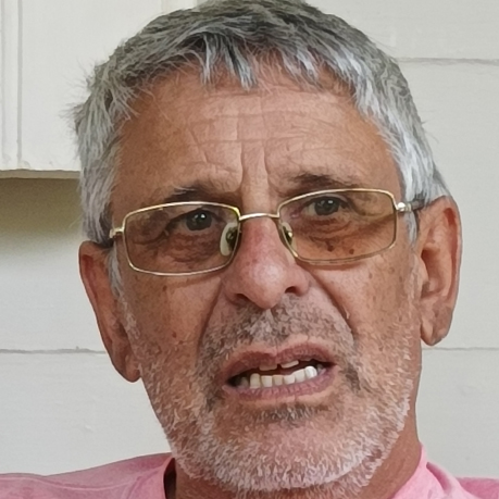 JAVESH OU AS MEMÓRIAS DE FELIX STEINER