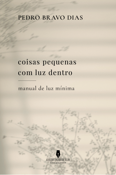 coisas pequenas com luz dentro