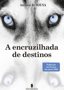 A ENCRUZILHADA DE DESTINOS