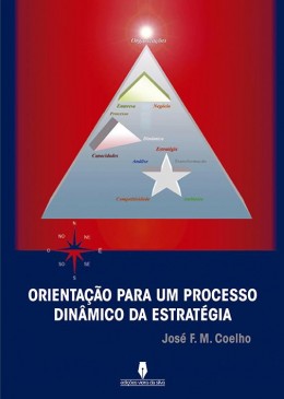 Orientação para um processo dinâmico da estratégia