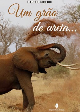 Um grão de areia
