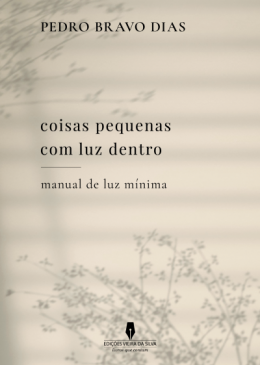coisas pequenas com luz dentro