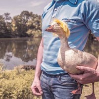 Histórias do Fantástico